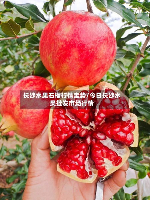 长沙水果石榴行情走势/今日长沙水果批发市场行情