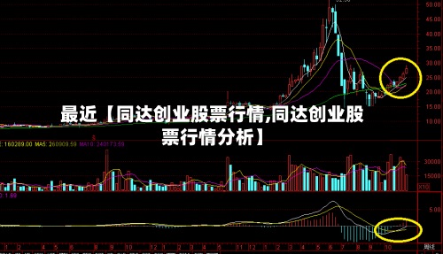最近【同达创业股票行情,同达创业股票行情分析】-第2张图片
