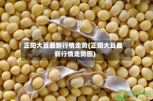 正阳大豆最新行情走势(正阳大豆最新行情走势图)-第2张图片