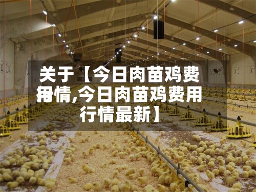 关于【今日肉苗鸡费用
行情,今日肉苗鸡费用
行情最新】-第2张图片