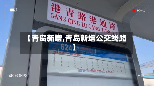 【青岛新增,青岛新增公交线路】-第2张图片