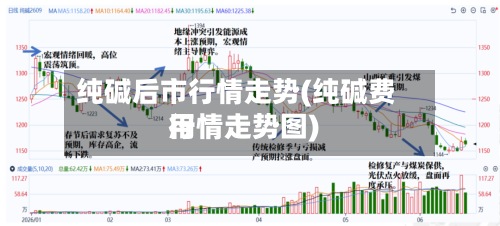 纯碱后市行情走势(纯碱费用行情走势图)-第2张图片