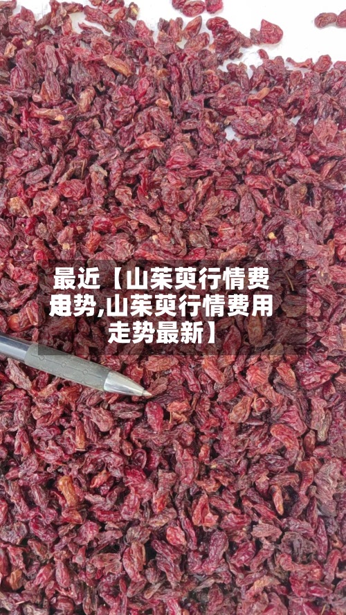 最近【山茱萸行情费用
走势,山茱萸行情费用
走势最新】-第3张图片