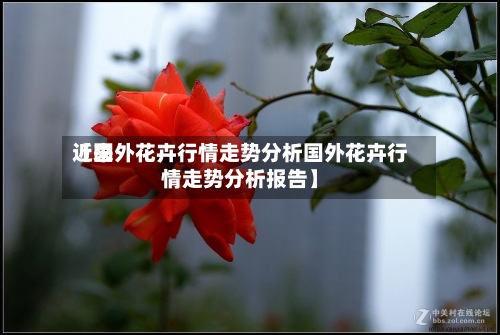 近来
【国外花卉行情走势分析国外花卉行情走势分析报告】