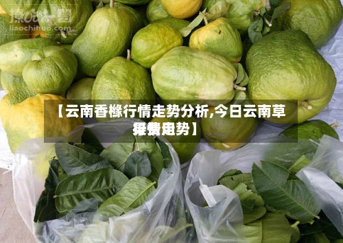 【云南香橼行情走势分析,今日云南草果费用
行情走势】-第2张图片