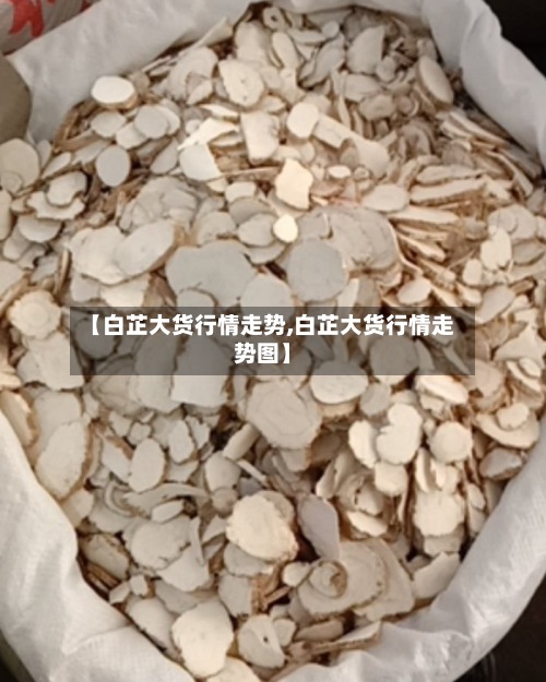【白芷大货行情走势,白芷大货行情走势图】-第2张图片
