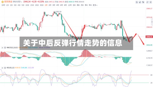 关于中后反弹行情走势的信息-第2张图片