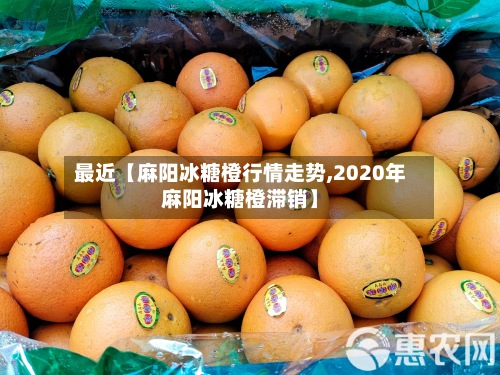 最近【麻阳冰糖橙行情走势,2020年麻阳冰糖橙滞销】-第2张图片