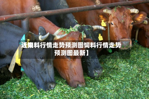 近来【饲料行情走势预测图饲料行情走势预测图最新】