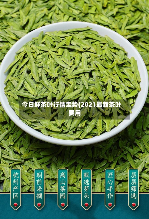 今日鲜茶叶行情走势(2021最新茶叶费用)