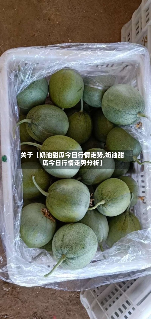 关于【奶油甜瓜今日行情走势,奶油甜瓜今日行情走势分析】