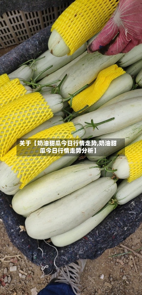 关于【奶油甜瓜今日行情走势,奶油甜瓜今日行情走势分析】-第3张图片