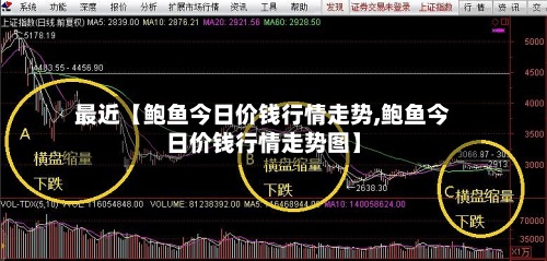 最近【鲍鱼今日价钱行情走势,鲍鱼今日价钱行情走势图】-第3张图片