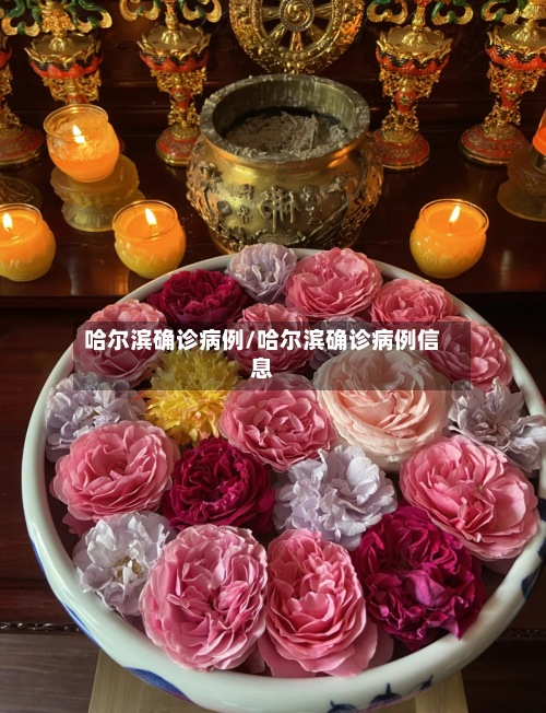 哈尔滨确诊病例/哈尔滨确诊病例信息