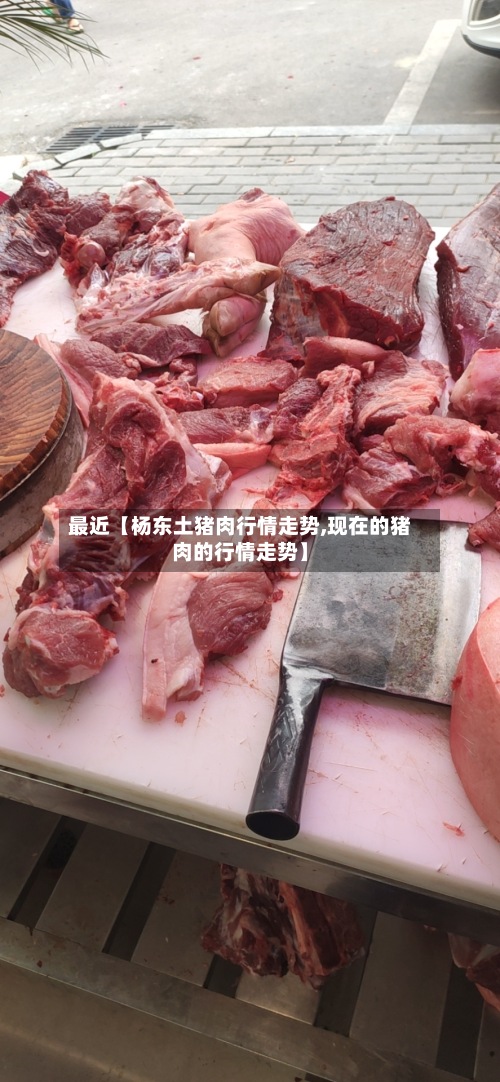 最近【杨东土猪肉行情走势,现在的猪肉的行情走势】-第2张图片
