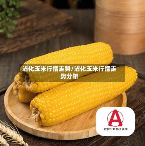 沾化玉米行情走势/沾化玉米行情走势分析