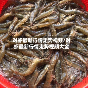 对虾最新行情走势视频/对虾最新行情走势视频大全-第2张图片