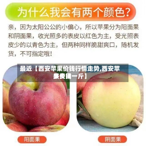 最近【西安苹果价钱行情走势,西安苹果费用
多少钱一斤】