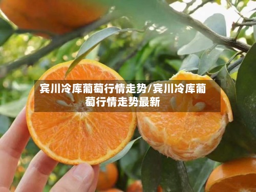 宾川冷库葡萄行情走势/宾川冷库葡萄行情走势最新-第2张图片