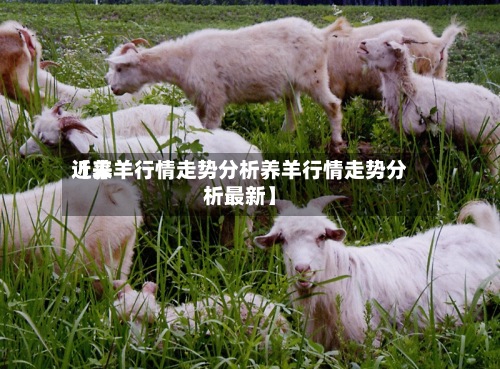 近来
【养羊行情走势分析养羊行情走势分析最新】-第2张图片