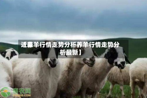 近来
【养羊行情走势分析养羊行情走势分析最新】-第3张图片