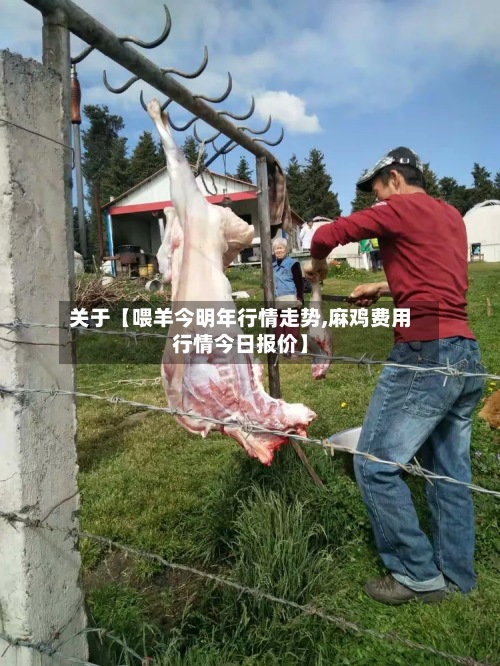 关于【喂羊今明年行情走势,麻鸡费用
行情今日报价】