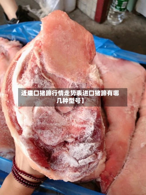 近来
【进口猪蹄行情走势表进口猪蹄有哪几种型号】-第2张图片