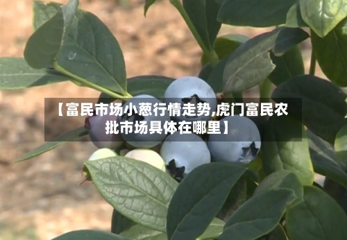【富民市场小葱行情走势,虎门富民农批市场具体在哪里】