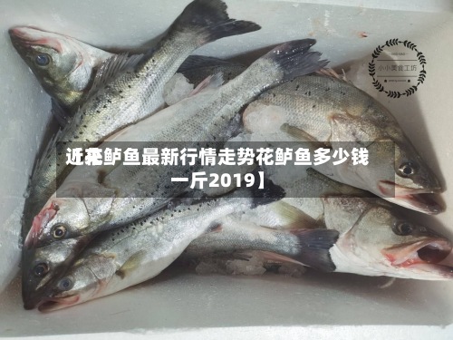 近来【花鲈鱼最新行情走势花鲈鱼多少钱一斤2019】-第2张图片