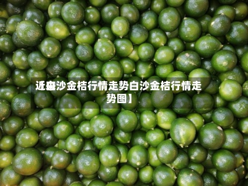 近来【白沙金桔行情走势白沙金桔行情走势图】-第3张图片