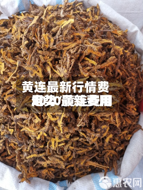 黄连最新行情费用
走势/黄连费用
2020最新费用
