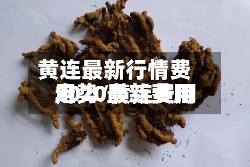 黄连最新行情费用走势/黄连费用2020最新费用-第2张图片