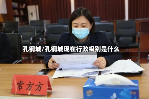 孔钢城/孔钢城现在行政级别是什么-第2张图片