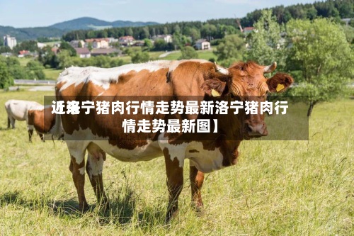 近来
【洛宁猪肉行情走势最新洛宁猪肉行情走势最新图】-第3张图片