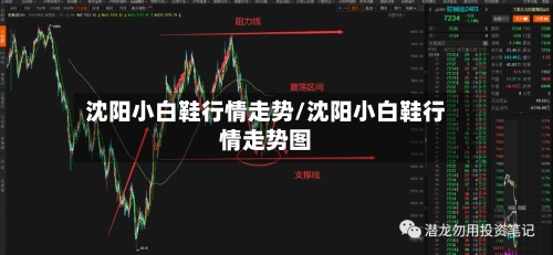 沈阳小白鞋行情走势/沈阳小白鞋行情走势图