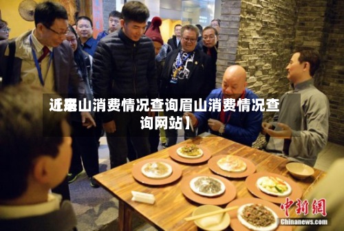 近来
【眉山消费情况查询眉山消费情况查询网站】