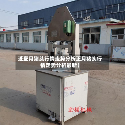 近来【正月猪头行情走势分析正月猪头行情走势分析最新】
