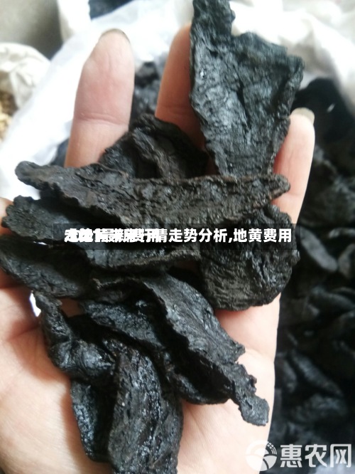 【地黄未来行情走势分析,地黄费用2021最新费用走势】