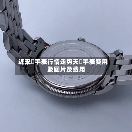 近来【天珺手表行情走势天珺手表费用及图片及费用】