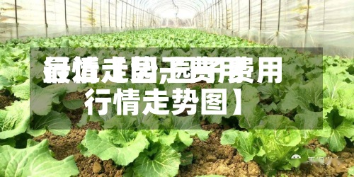 最近【园子费用
行情走势,园子费用
行情走势图】-第3张图片