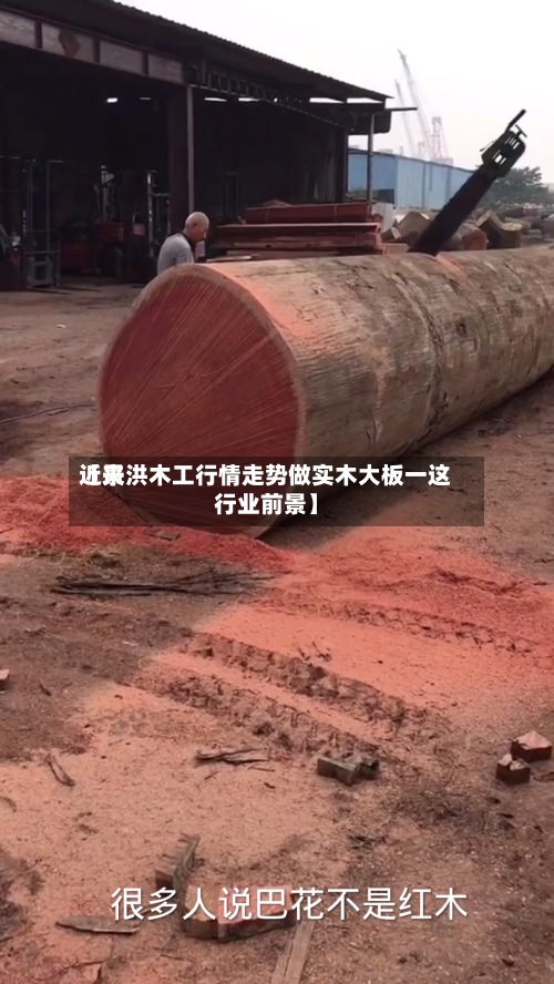 近来
【景洪木工行情走势做实木大板一这行业前景】