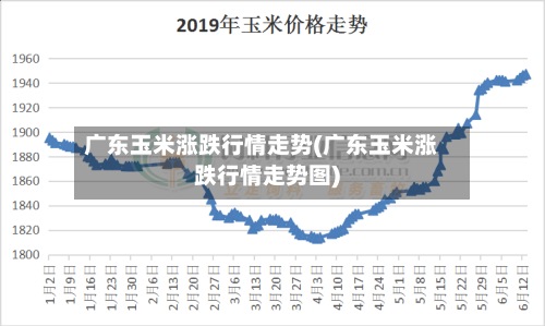 广东玉米涨跌行情走势(广东玉米涨跌行情走势图)