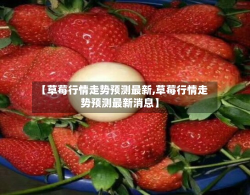 【草莓行情走势预测最新,草莓行情走势预测最新消息】