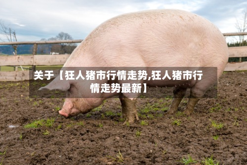 关于【狂人猪市行情走势,狂人猪市行情走势最新】-第2张图片