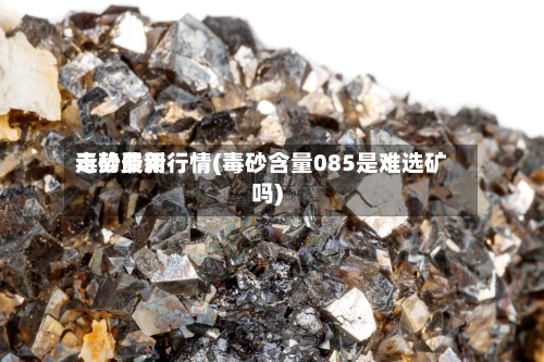 毒砂费用
走势最新行情(毒砂含量085是难选矿吗)