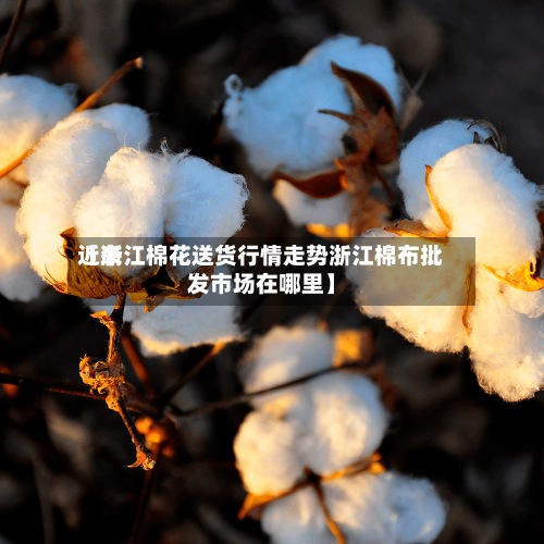 近来【浙江棉花送货行情走势浙江棉布批发市场在哪里】