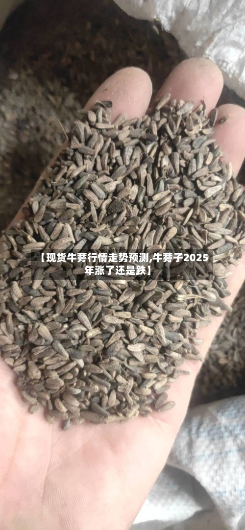 【现货牛蒡行情走势预测,牛蒡子2025年涨了还是跌】