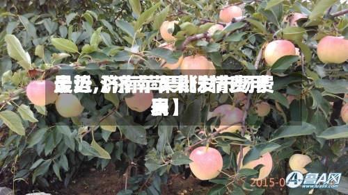 最近【济南苹果行情费用
走势,济南苹果批发市场费用
表】