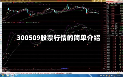300509股票行情的简单介绍-第2张图片