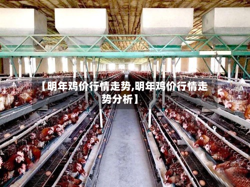 【明年鸡价行情走势,明年鸡价行情走势分析】-第2张图片